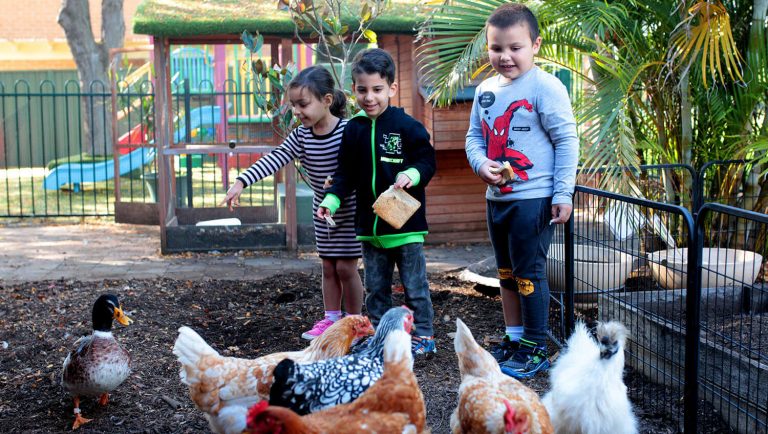 homepage banner1 13082018 247 1 768x434